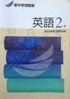 新中学問題集中2