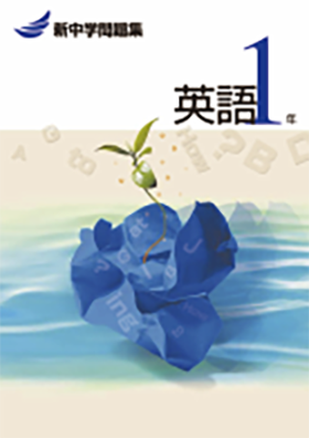 新中学問題集シリーズ